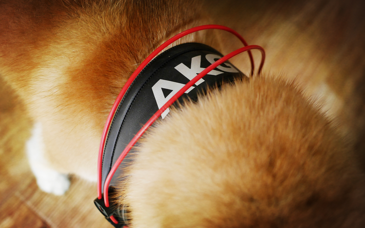 AKGK240R——经典可以延续的~