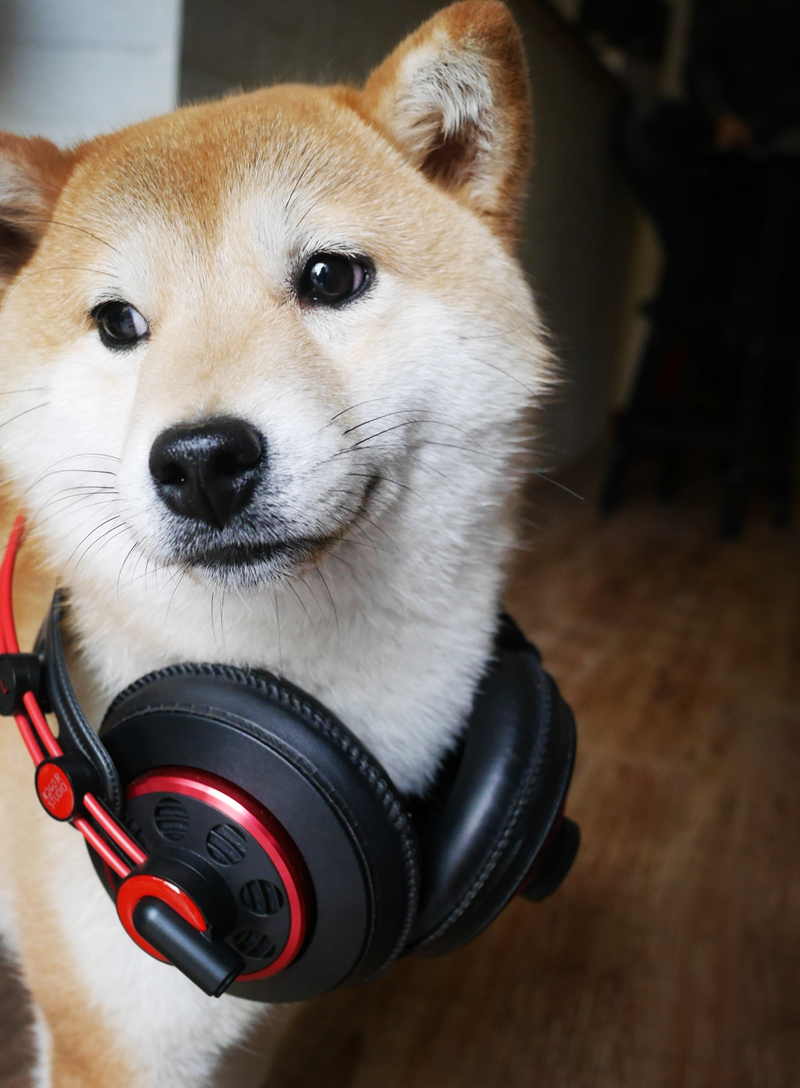 AKGK240R——经典可以延续的~