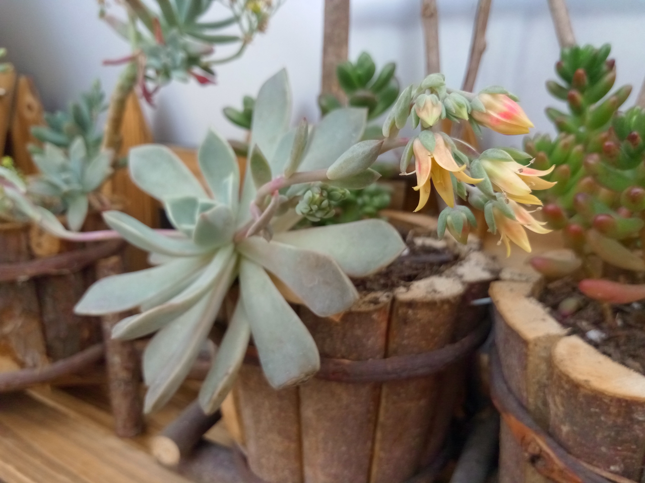 金立w909测评,金立天鉴w909缺点