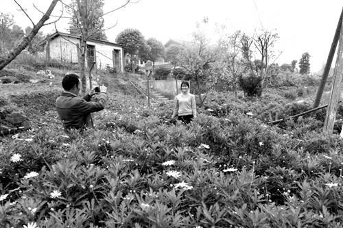 干货分享成立公司流程,干货如何通过社群使水果销量倍增