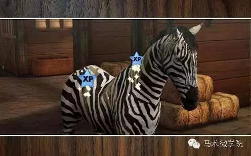 自己养一匹马,能在手机上养宠物的软件