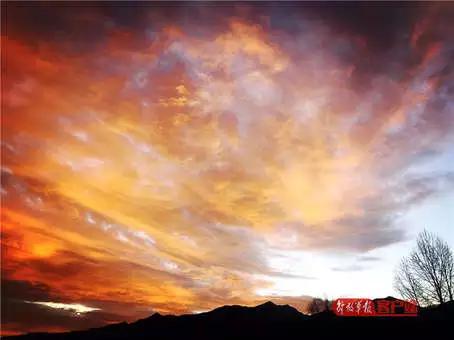 南政毕业,南政毕业照