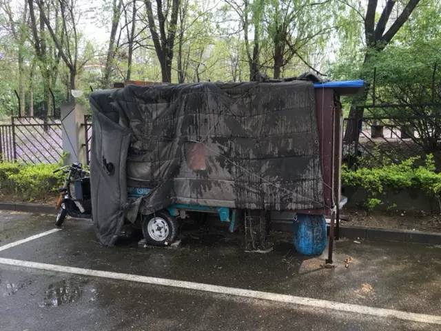 回龙观文华市场活鸡,回龙观活鸡哪里有卖