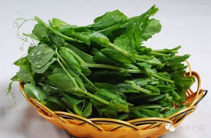 蜀九香正宗重庆火锅,四川火锅蜀九香加盟