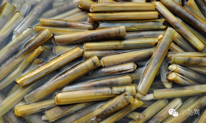 那些不认识的海鲜小干货,超级干货2022