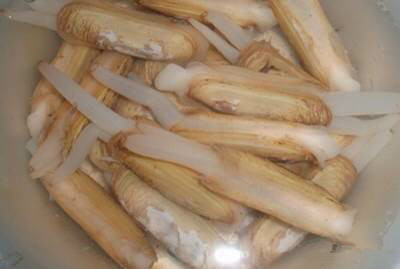 那些不认识的海鲜小干货,超级干货2022