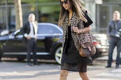 chloe小猪包是什么系列,chloe新款小猪包