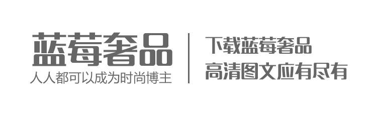 chloe小猪包是什么系列,chloe新款小猪包