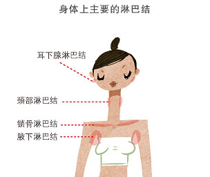 肿瘤君看似张牙舞爪，让它滚蛋并不难！这4个部位的癌症最应注意