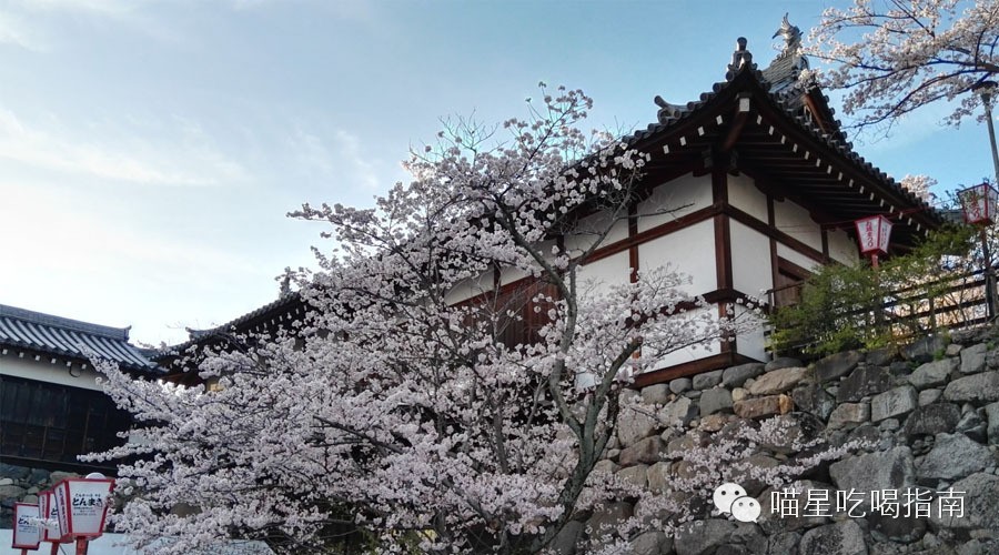 奈良鹰长菩提清酒,奈良时代的日本历史