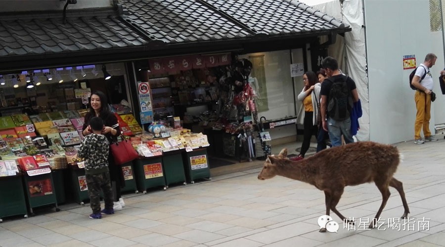 奈良鹰长菩提清酒,奈良时代的日本历史