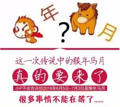 猴年马月的日子,猴年马月是否适合结婚