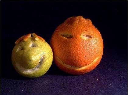 美国最好的教育专业,中美大学专业教育的差异