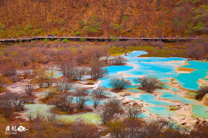 鍛宠暰娴佽繛蹇樿繑,鍛宠暰鐣欐亱