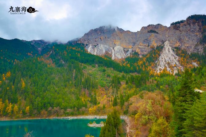 鍛宠暰娴佽繛蹇樿繑,鍛宠暰鐣欐亱