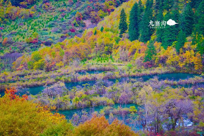 鍛宠暰娴佽繛蹇樿繑,鍛宠暰鐣欐亱