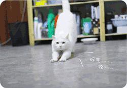 如何在大学期间长高5cm？