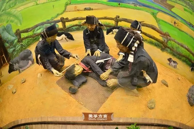 北方人第一次来三亚吃海鲜,一个人在三亚吃海鲜自助