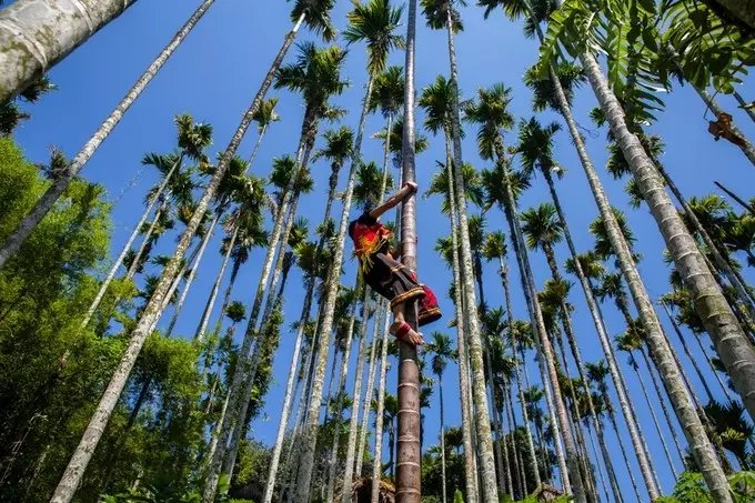 北方人第一次来三亚吃海鲜,一个人在三亚吃海鲜自助