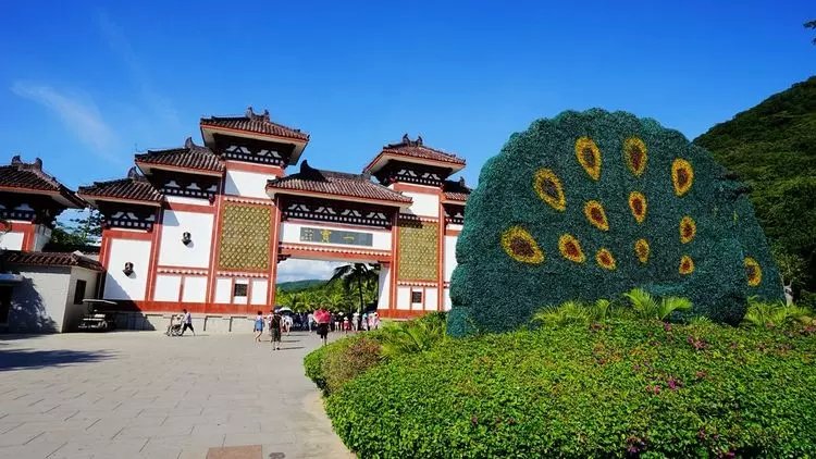 北方人第一次来三亚吃海鲜,一个人在三亚吃海鲜自助