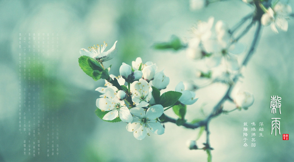 二十四节气之谷雨手抄报内容,二十四节气之谷雨古诗