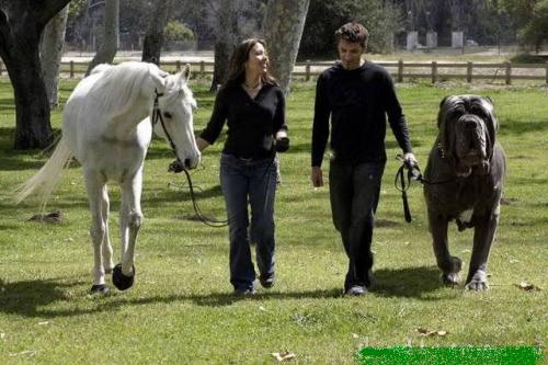 爽肤水过期了一年怎么废物利用,爽肤水过期了怎么废物利用