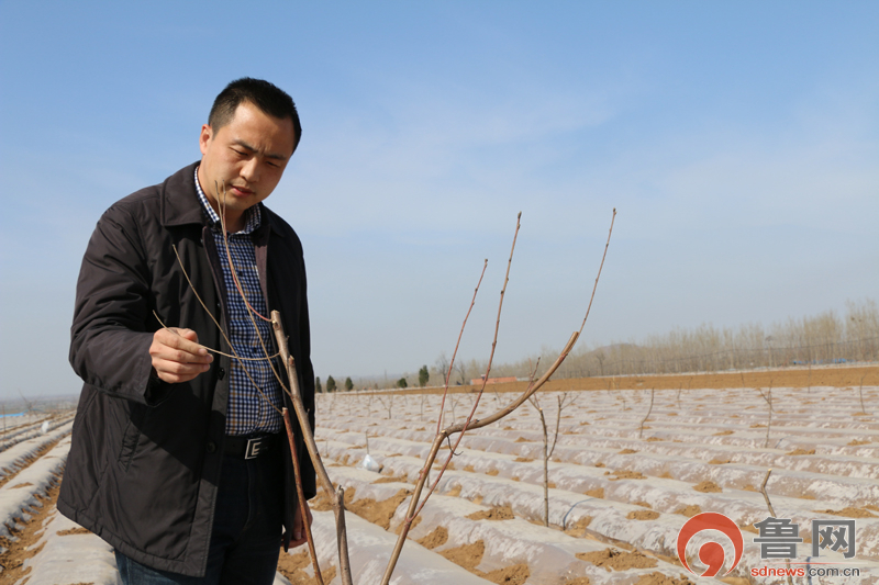 驻村第一书记徐延明:不谈空话,实打实带村民致富