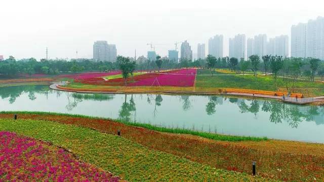 国务院批复合肥的定位,国家为什么要发展合肥