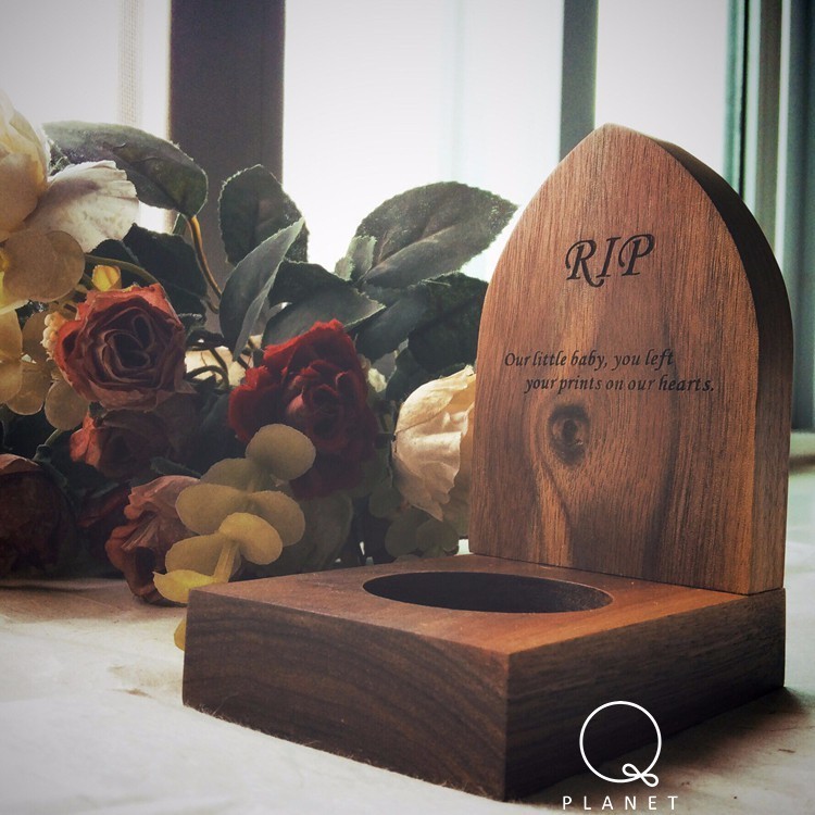 日子好货|住在“Qplanet”的小宠物