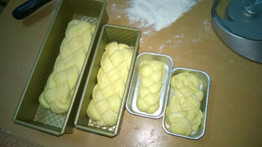 鐑樼剻閲戠爾闈㈠寘,鐑樼剻瀛﹂櫌娣卞害瑙f瀽