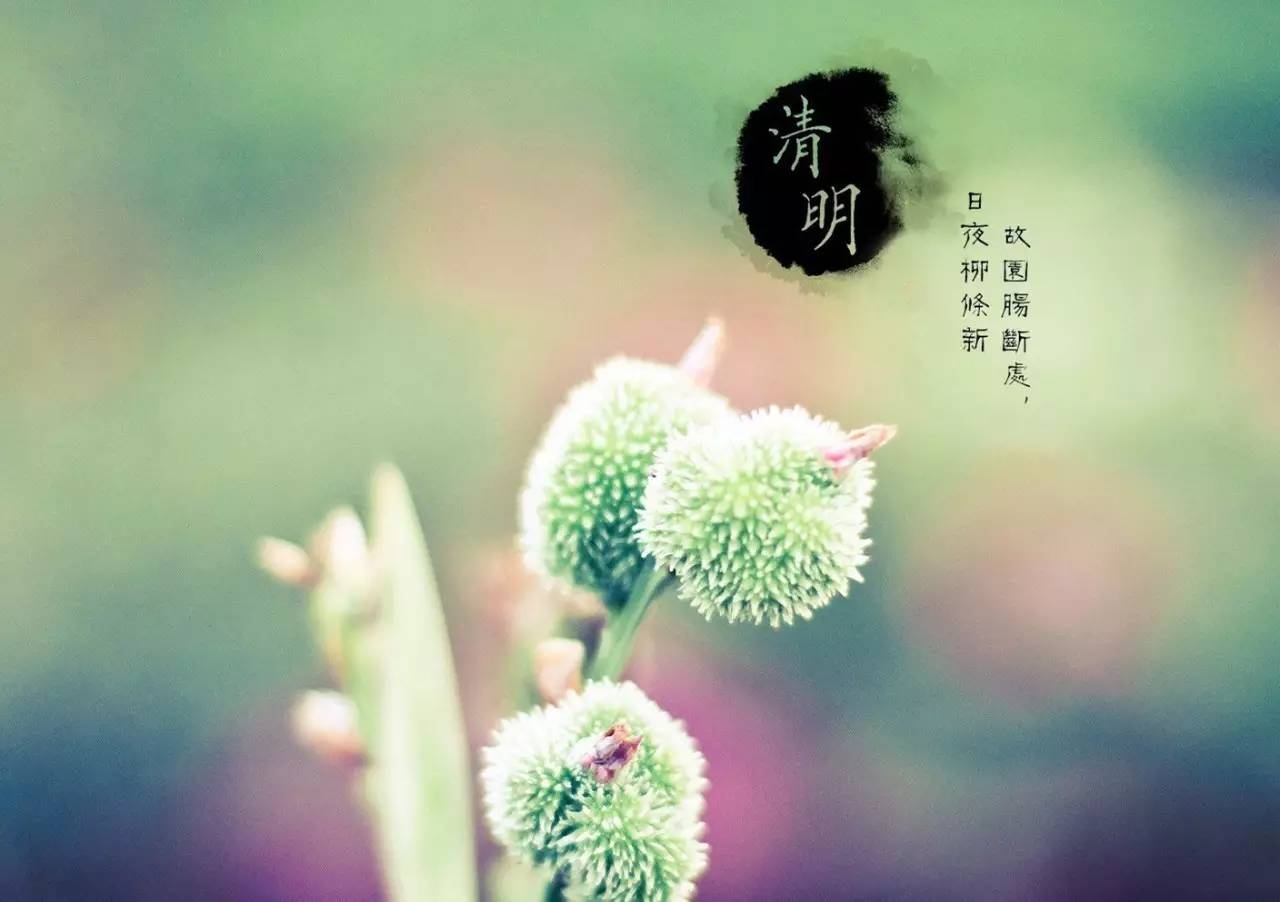 除扫墓外清明还有哪些祭祖习俗,清明是扫墓还是祭祖