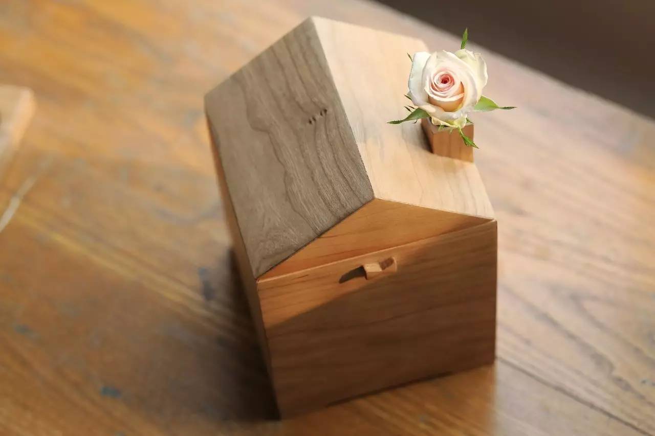 日子好货|住在“Qplanet”的小宠物