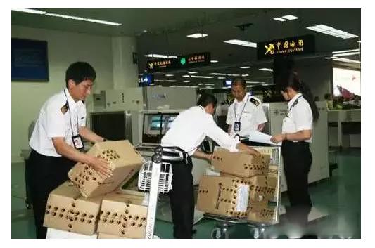 黄渤开箱视频,黄渤开箱子