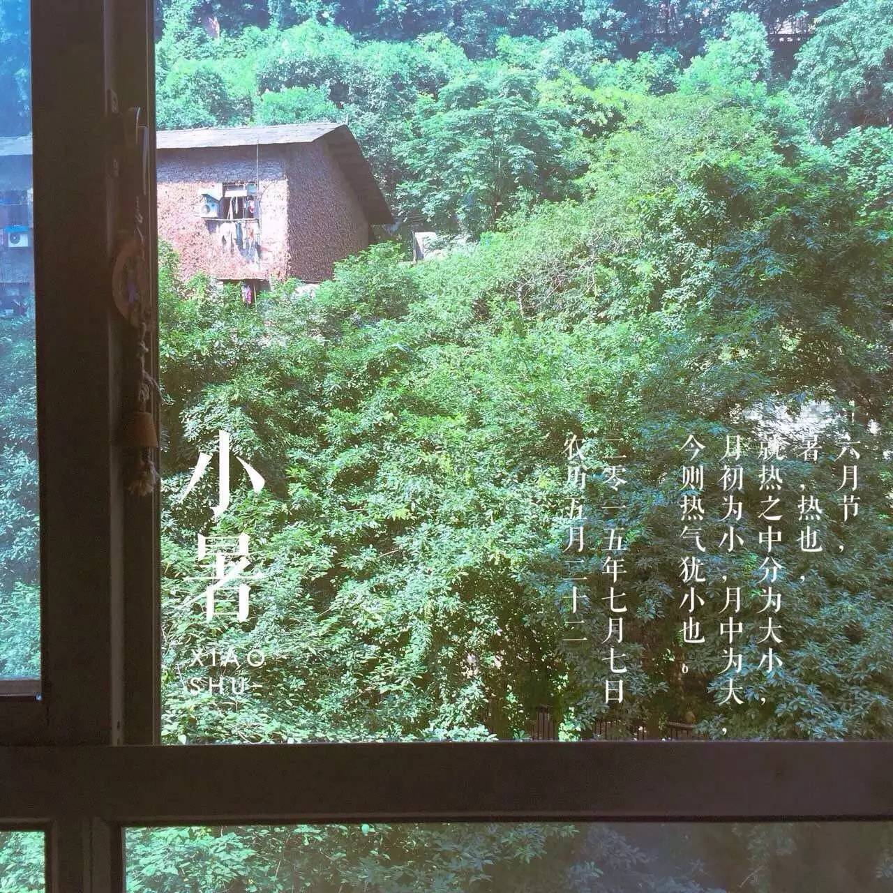 她把眼前的寻常，变成了诗和远方