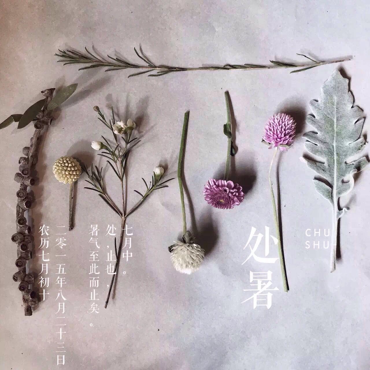 她把眼前的寻常，变成了诗和远方