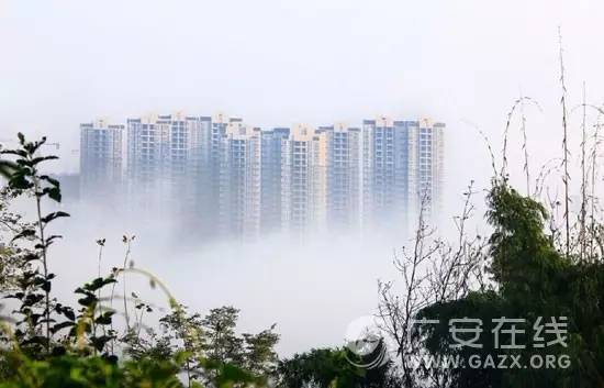 如果能和你到老该有多好,如果能和你在一起那该有多幸运