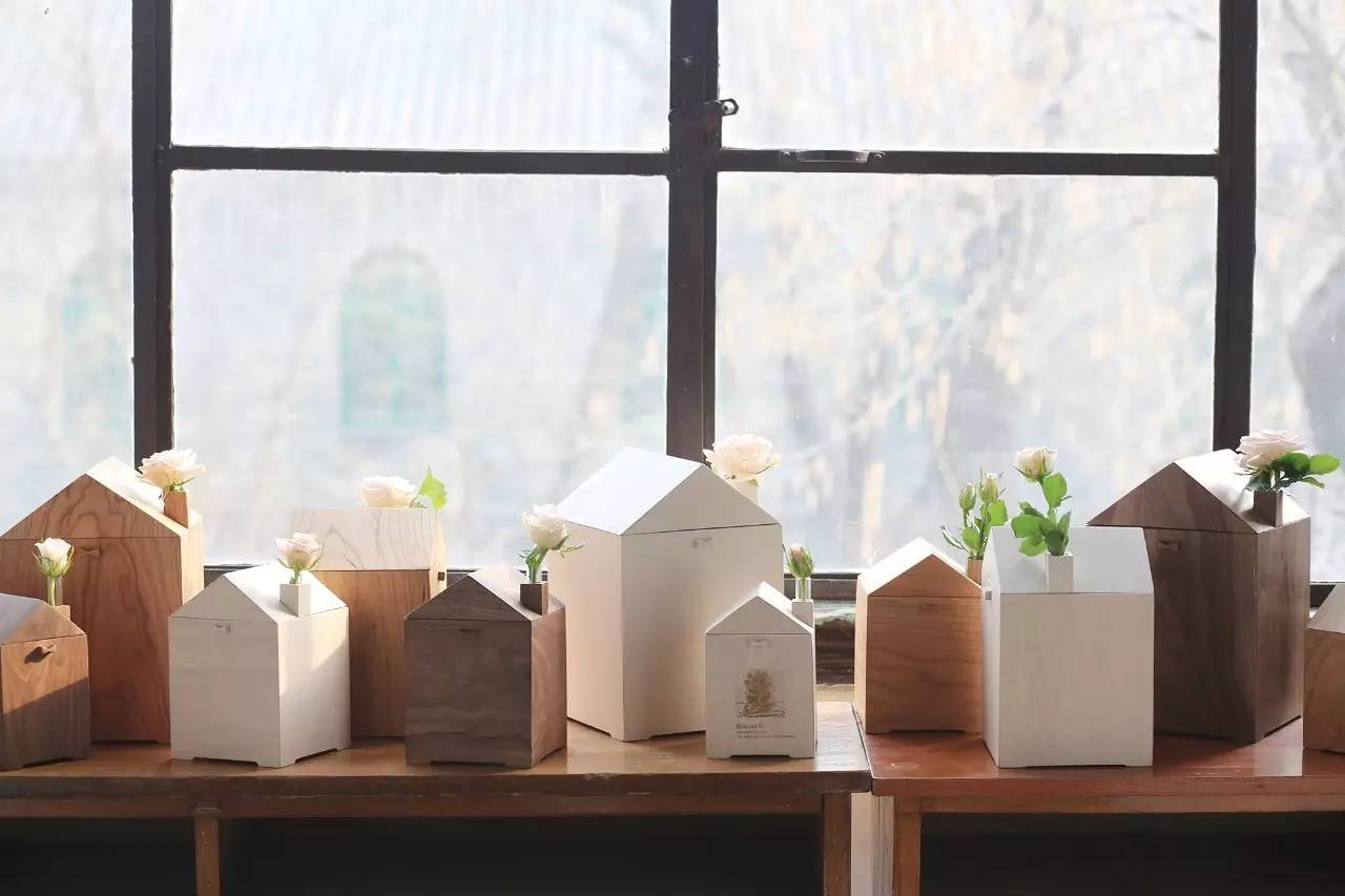 日子好货|住在“Qplanet”的小宠物