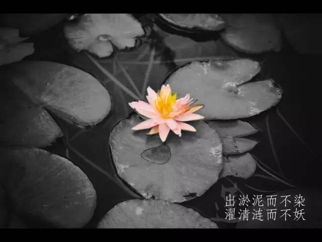 如何迅速做出叫好又叫座的PPT?学生*党**的老大难问题终于有解了!