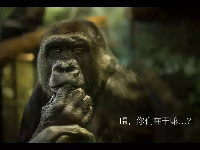 如何迅速做出叫好又叫座的PPT?学生*党**的老大难问题终于有解了!