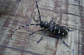 适合7-10岁孩子的课外活动,看孩子运动会好像回到了童年想哭