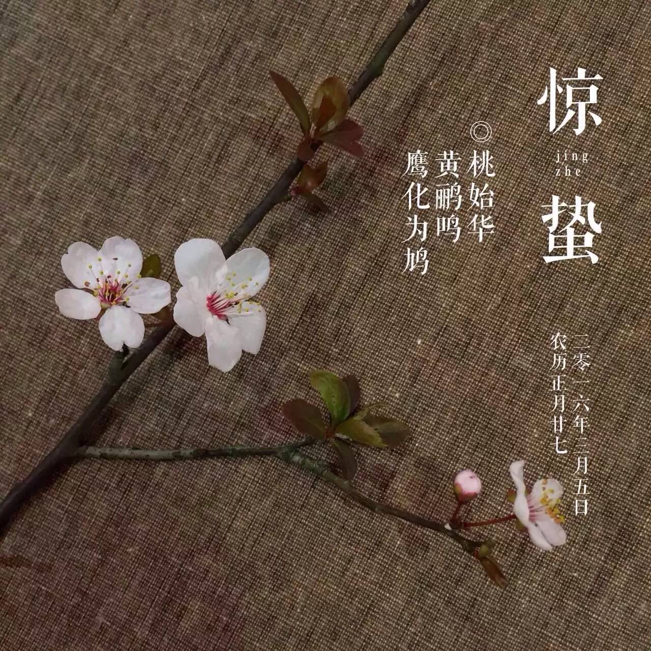 她把眼前的寻常，变成了诗和远方