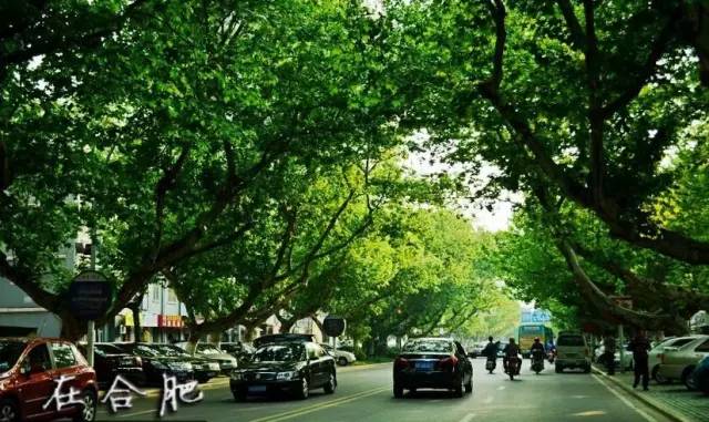 国务院批复合肥的定位,国家为什么要发展合肥