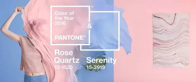 RAKKA,寻回樱花的烂漫气味