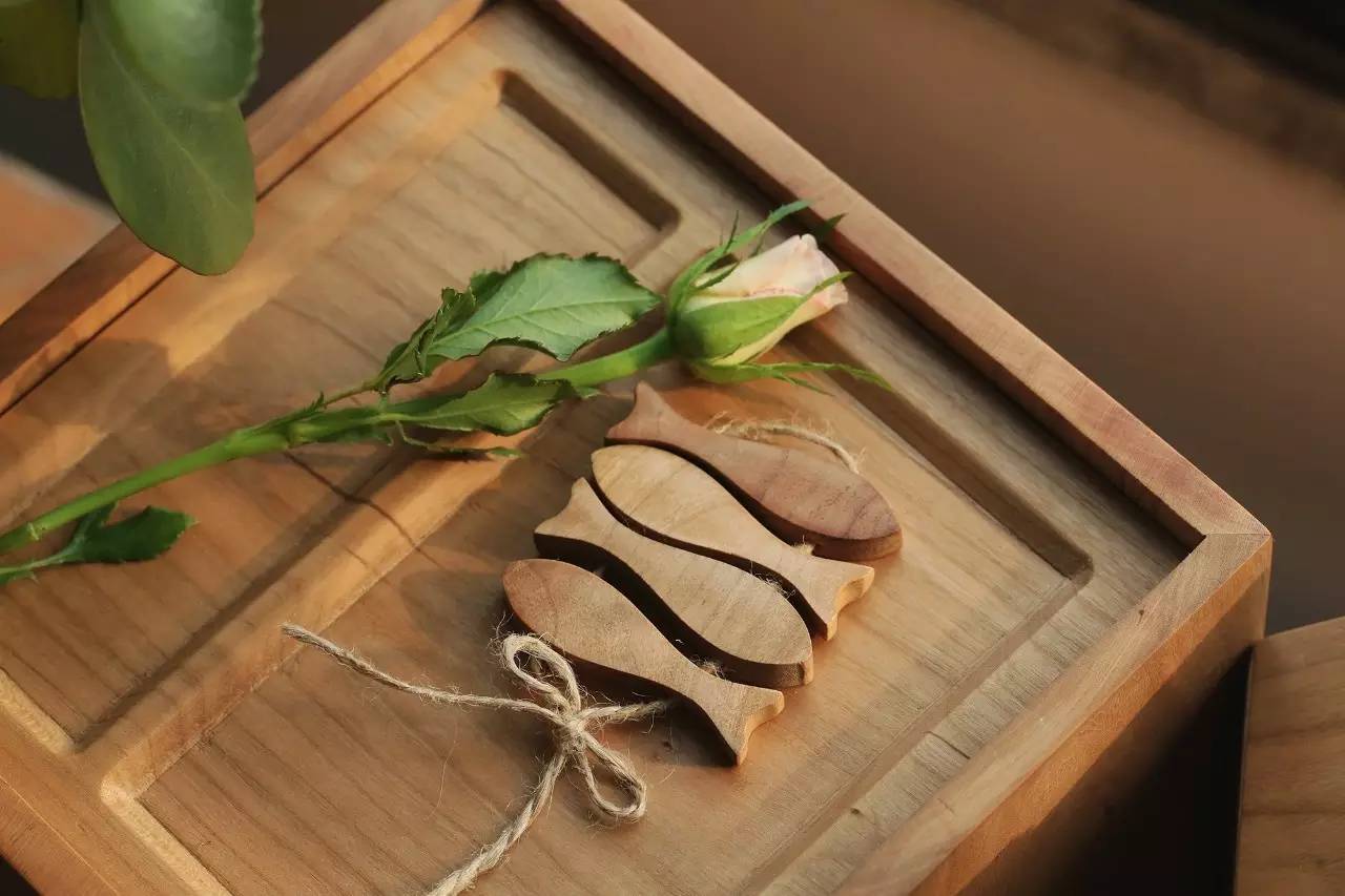 日子好货|住在“Qplanet”的小宠物