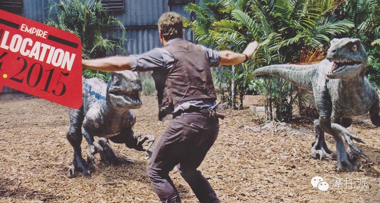 贝纳利小暴龙暴力吗,贝纳利小暴龙最详细的介绍