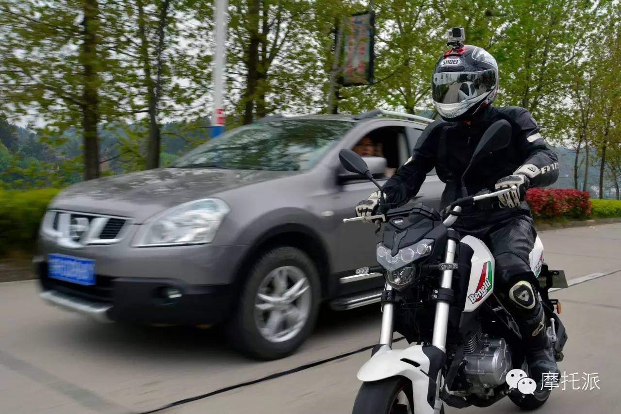 贝纳利小暴龙暴力吗,贝纳利小暴龙最详细的介绍