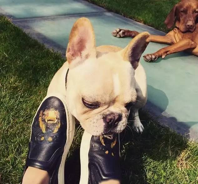 这位美貌多金的小公举，集齐了女神所有的气场！