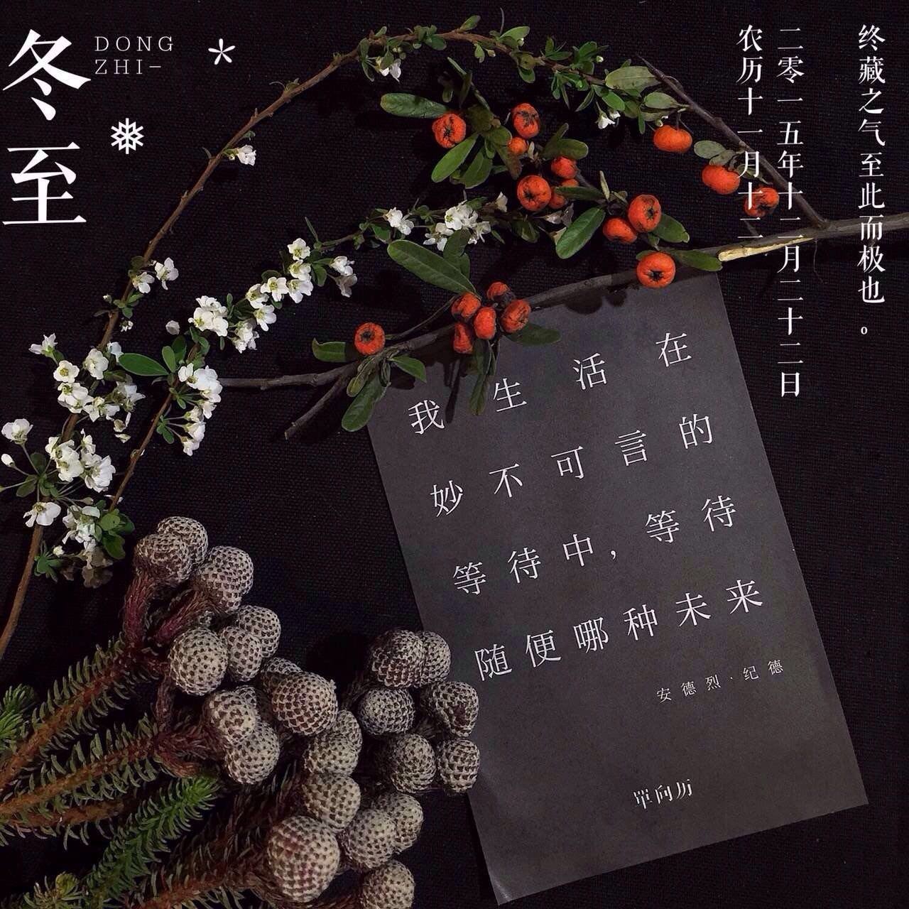 她把眼前的寻常，变成了诗和远方