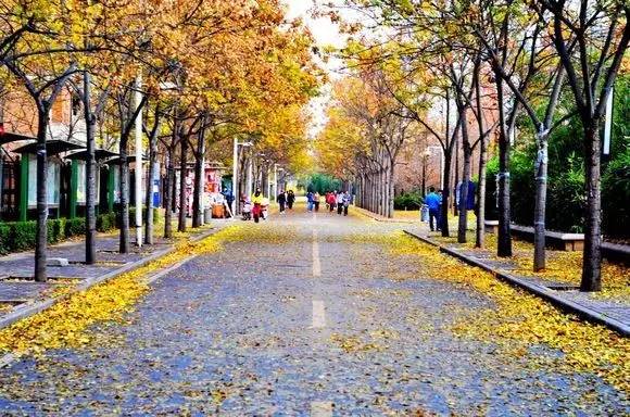 春天别睡起来嗨~西安最适合跑步的地方!