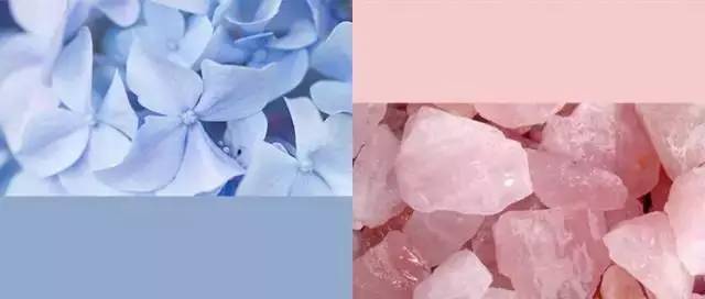 RAKKA,寻回樱花的烂漫气味